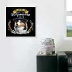 the distinguished shetland gentleman
