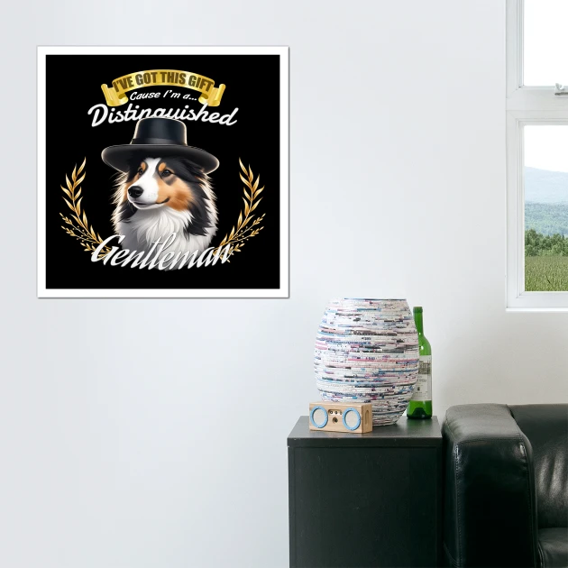 the distinguished shetland gentleman
