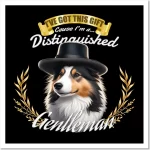 the distinguished shetland gentleman