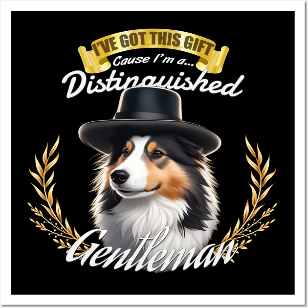the distinguished shetland gentleman