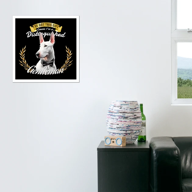 the distinguished bull terrier gentleman