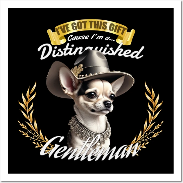 the distinguished chihuahua gentleman