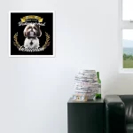 the distinguished shih tzu gentleman