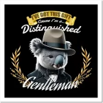 the distinguished koala gentleman